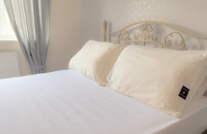 Do Earthing Sheets Mats Work Grounding
