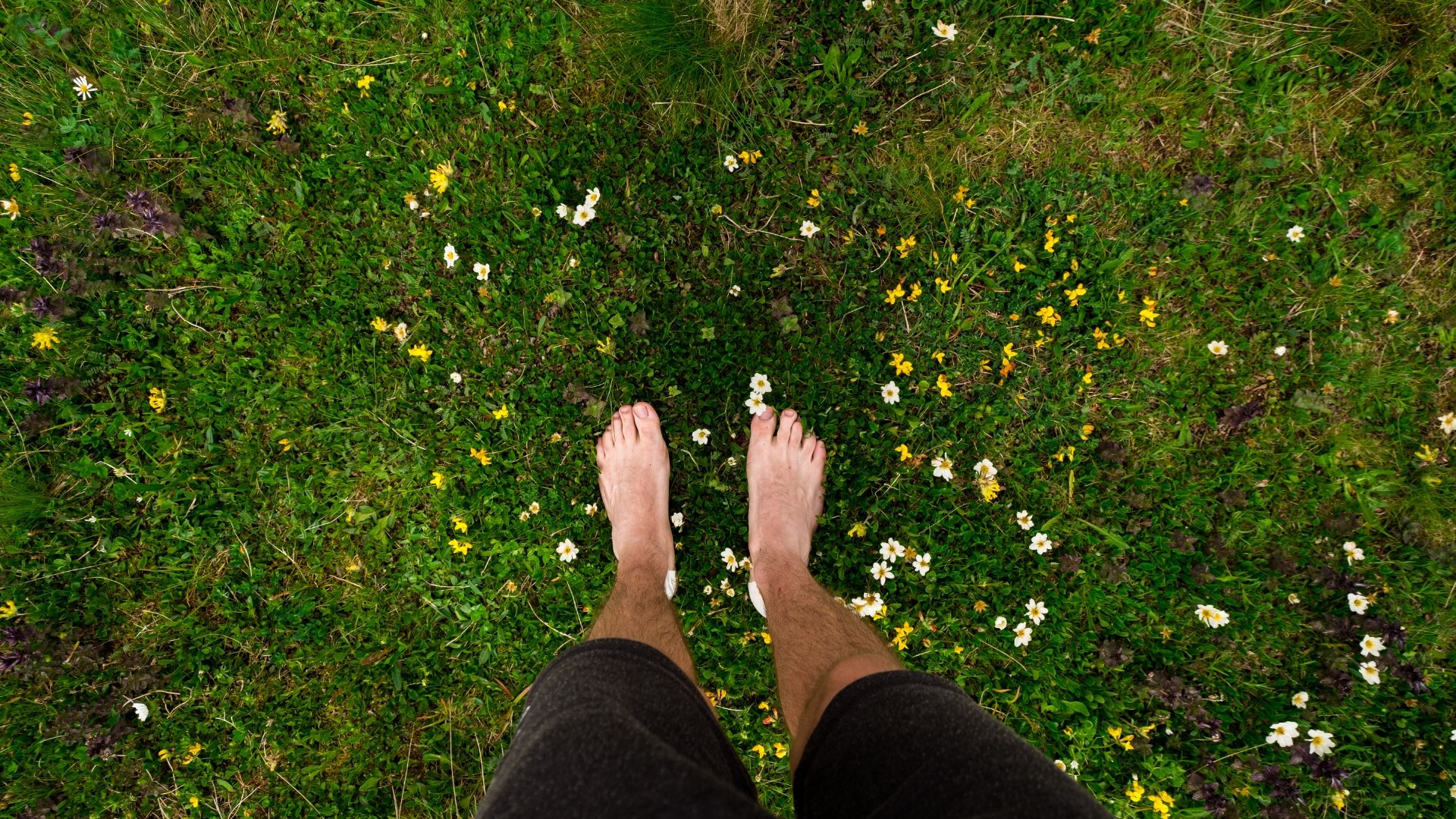 6 Game-Changing Tips for Using Earthing Sheets Right